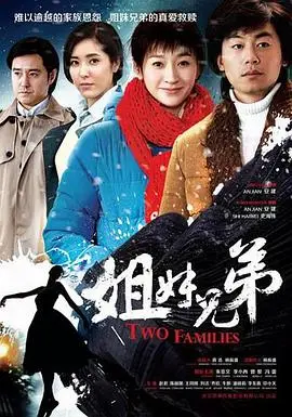 《姐妹兄弟》：一部关于亲情、成长与社会变迁的深刻群像史诗