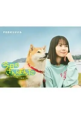 《今日份的散步》：文艺治愈系小品，人生哲学与偶遇的美好，一场触动心灵的奇遇